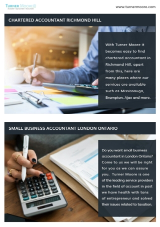 Finding the experienced Chartered Accountant Richmond Hill?