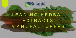 Being Leading Herbal Extracts Manufacturers, We Offer