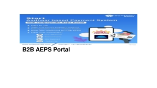 B2B AEPS Portal