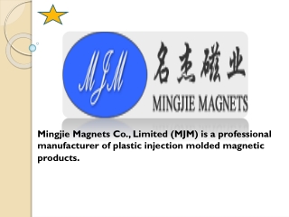 Best Injection Molded Ferrite Magnets