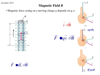 Magnetic Field B