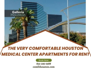 The Very Comfortable Houston Medical Center Apartments for Rent