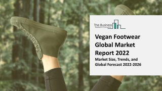 Vegan Footwear Market Research In-Depth Study, Analysis, Growth, Trends