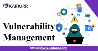 Are You Looking for The Best Vulnerability Management Service for You?