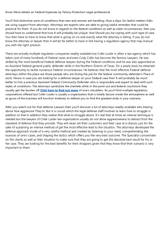 Know More details on Federal Costs by Criminal Defense Legal professional