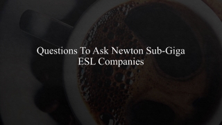 Questions To Ask Newton Sub-Giga ESL Companies