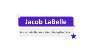 Jacob LaBelle - Intern at In Re Flint Water Crisis