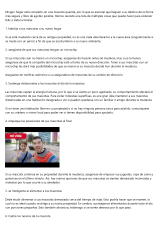 Trucos de Mudanzas Economicas Madrid para hacer una mudanza perfecta