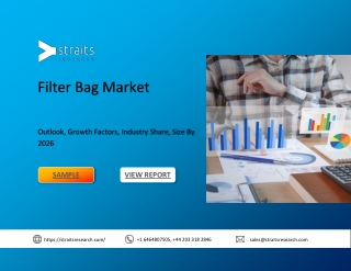 Filter Bag Market Size, Share and Regional Analysis by 2026
