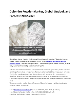 Dolomite Powder Market, Global Outlook and Forecast 2022-2028