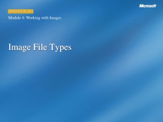 Image File Types