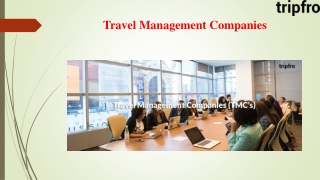 Travel Management Companies