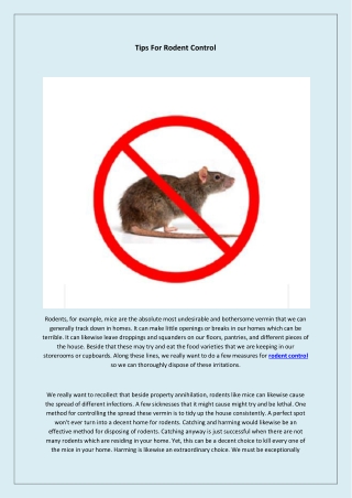 Tips For Rodent Control