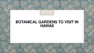 Botanical Gardens to Visit in Hawaii