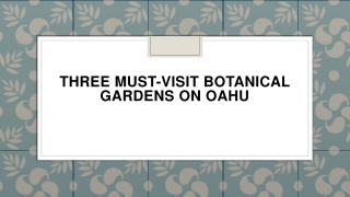 Three Must-Visit Botanical Gardens on Oahu