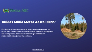 Kuidas müüa metsa aastal 2022 (4)