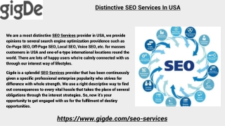 Distinctive SEO Services In USA