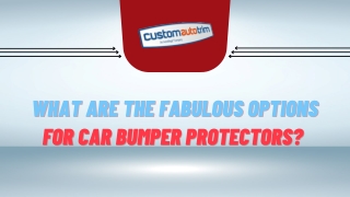 What are the Fabulous options For Car Bumper Protectors?