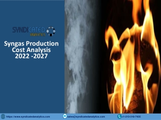 Syngas Production Cost Analysis 2022, Price Trends, Raw Materials Costs, Profit