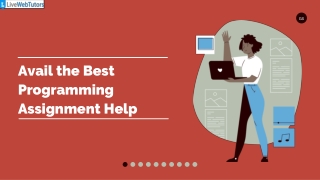 Avail the Best Programming Assignment Help