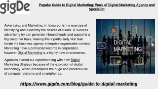 Popular Guide to Digital Marketing: Work of Digital Marketing Agency and Special