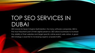 Top SEO Services in Dubai