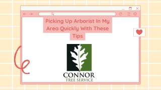 Picking Up Arborist In My Area Quickly With These Tips