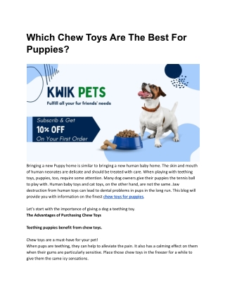 Which Chew Toys Are The Best For Puppies?