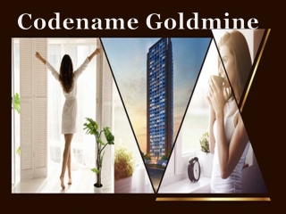 Codename Goldmine | Call: 8448272360