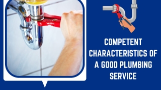 Experienced and Reliable Plumbers