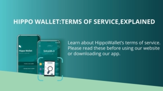 Hippo Wallet Outlines Its Terms of Service