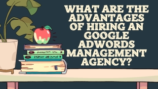 What Are The Advantages Of Hiring An Google AdWords Management Agency