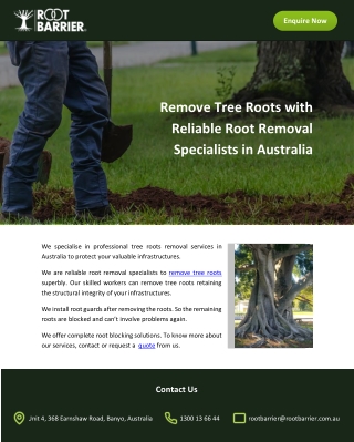 Remove Tree Roots with Reliable Root Removal Specialists in Australia