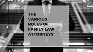 The various roles of family law attorneys