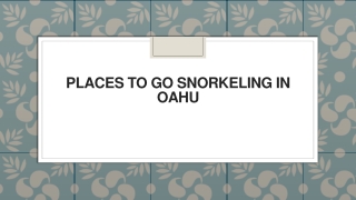 Places To Go Snorkeling in Oahu