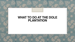 What To Do At The Dole Plantation