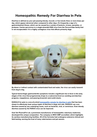 Homeopathic Remedy For Diarrhea In Pets