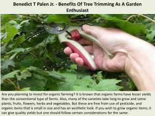 Benedict T Palen Jr. - Benefits Of Tree Trimming As A Garden Enthusiast