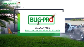 Fast And Safe Pest Control Service in Nigeria