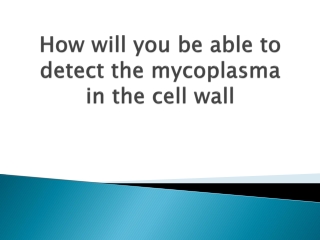 How-will-you-be-able-to-detect-the-mycoplasma-in-the-cell-wall