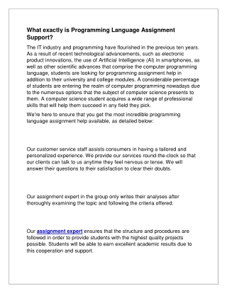 What exactly is Programming Language Assignment Support