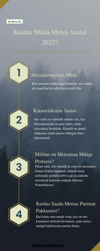 Kuidas Müüa Metsa Aastal 2022 (5)