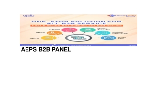 AEPS B2B panel