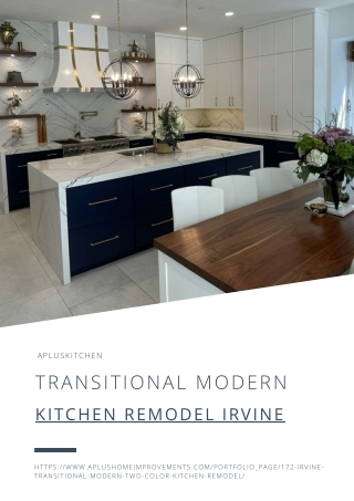 Transitional Modern Kitchen Remodel Irvine