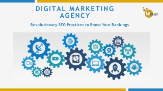 Revolutionary SEO Practices to Boost Your Rankings