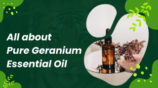 All about  Pure Geranium Essential Oil | Glow