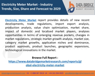 Global Electricity Meter Market