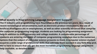 What exactly is Programming Language Assignment Support?