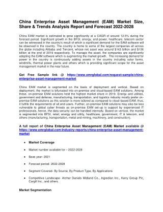 China Enterprise Asset Management (EAM) Market