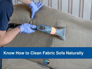 Know How to Clean Fabric Sofa Naturally